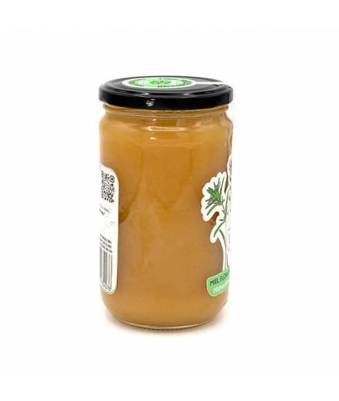 Miele Flora del Maestrazgo Inizio Primavera