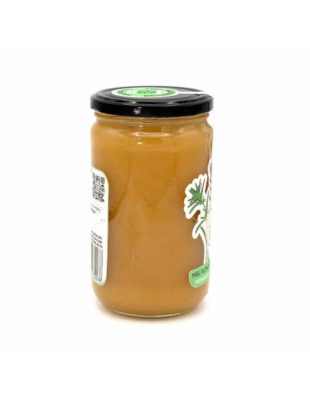 Honig Flora del Maestrazgo Vorfrühling