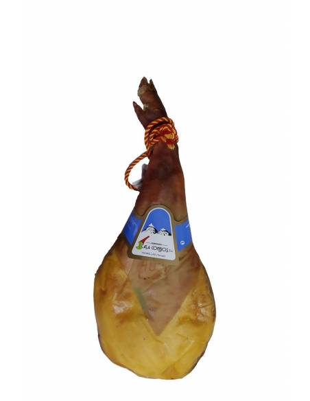 Grande tavolozza di riserva