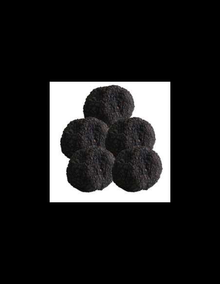 Sommertrüffel XL 100gr (Aestivum-Trüffel)