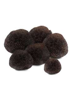 Tartufo Melanosporum 300gr