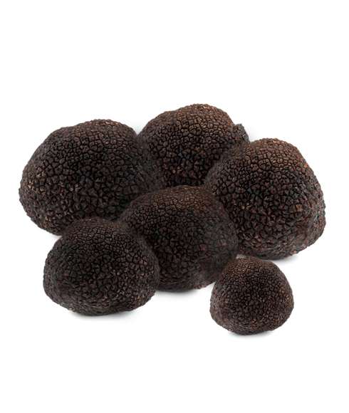 Melanosporum truffel 300gr