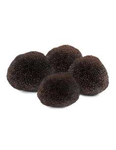 Melanosporum truffel 200gr