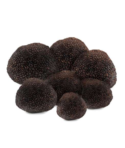 Tartufo Chef 1kg