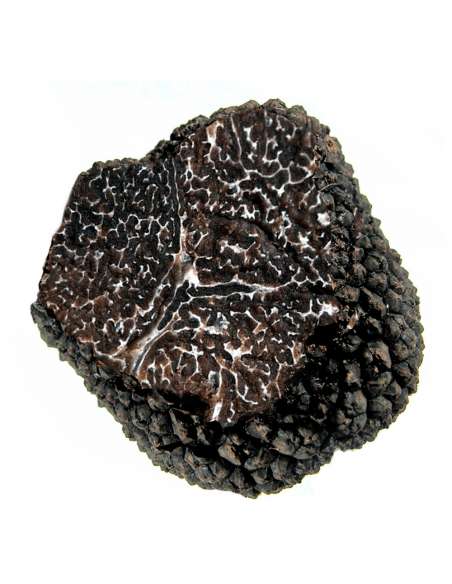 Truffles Melanosporum XL - (100gr)