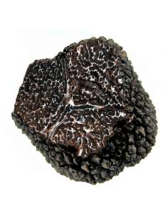 trufa-melanosporum-300gr.jpg