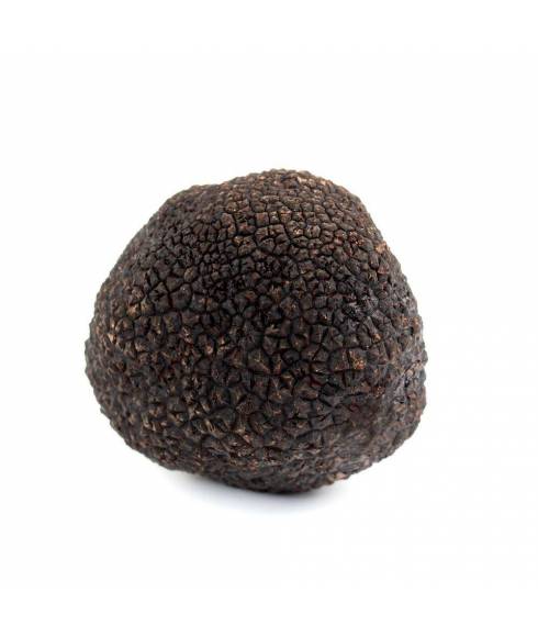 Truffelkit van 70 g + mandoline rollen