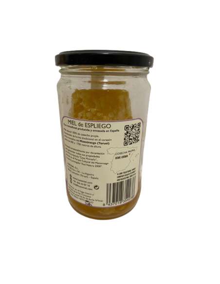 Fresh Lavender honey in comb
