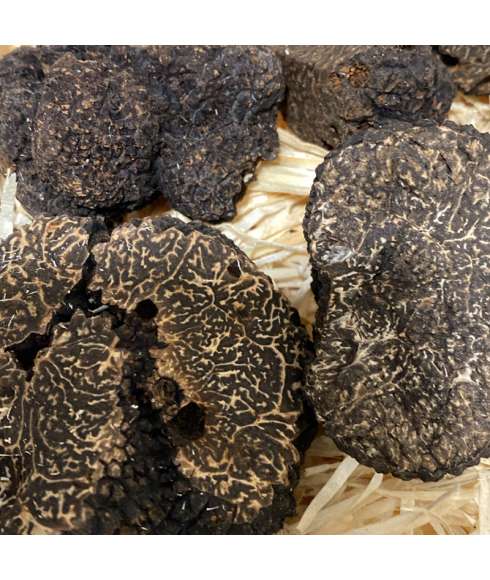 Melanosporum truffle -- Restaurants and specialized shops --