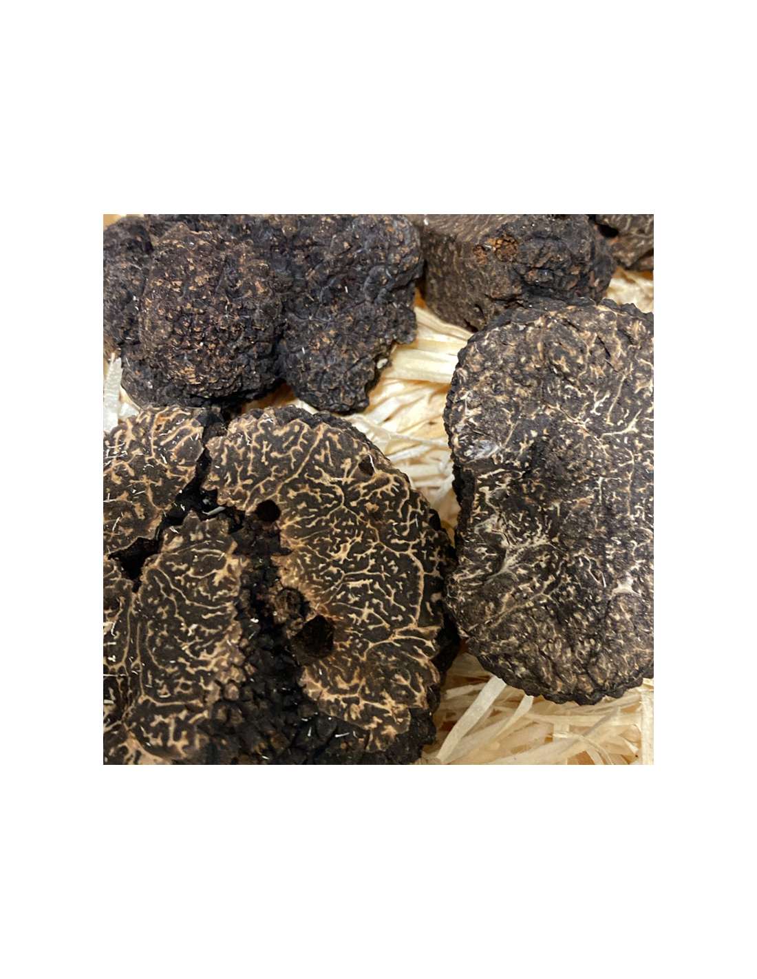 Comprar Trufa Negra (Tuber Melanosporum) en conserva 10 gr