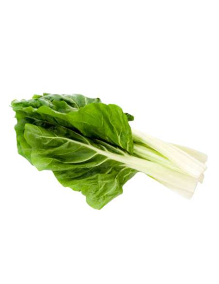 Fresh chard