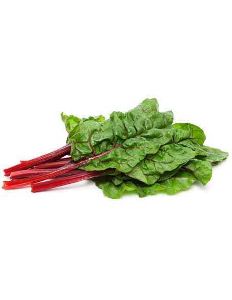 Red chard