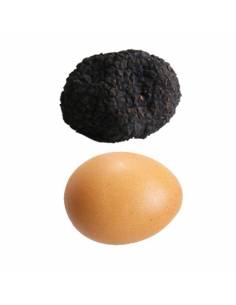 Truffel Aestivum L -70gr