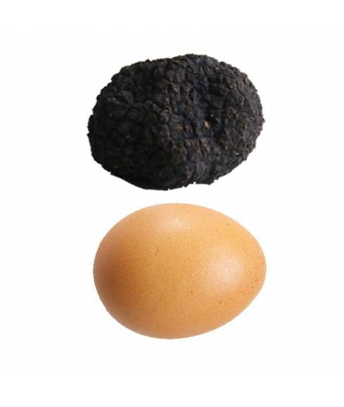 Truffel Aestivum L -70gr