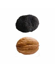 Tartufo Aestivum M 40gr