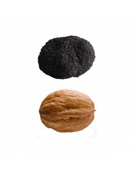 Tartufo Aestivum M 40gr