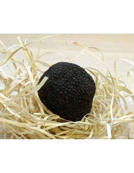 Tartufo estivo XL 100gr (Tartufo Aestivum)