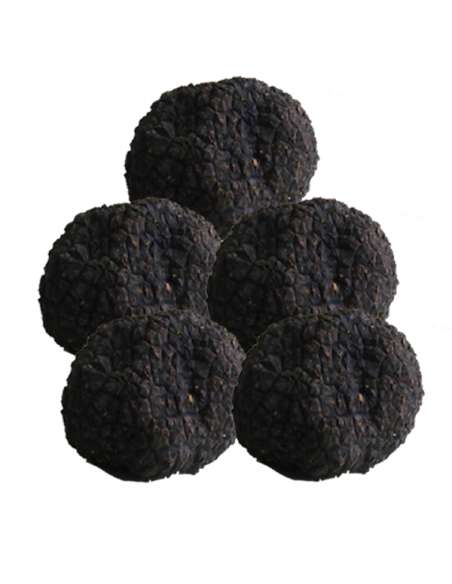 Sommertrüffel 200gr (Aestivum-Trüffel)