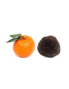 Melanosporum XL Trüffel - (100gr)