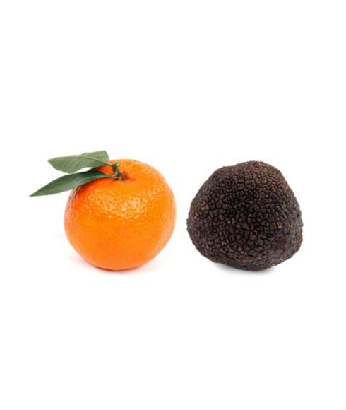 Melanosporum XL truffel - (100gr)