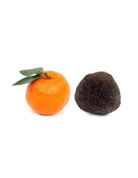 Trufa Melanosporum XL - (100gr)