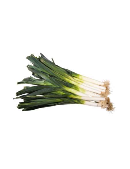 Fresh leeks