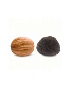 Truffe Melanosporum M - (30gr)