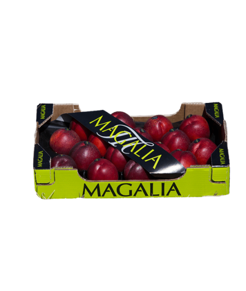 Nectarine-AA carton de 5kg