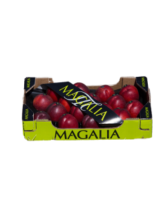 Nectarine-AAA box of 5 Kg