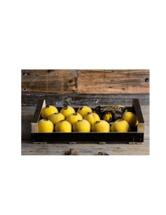 Peach SUB Calanda 18 enheter