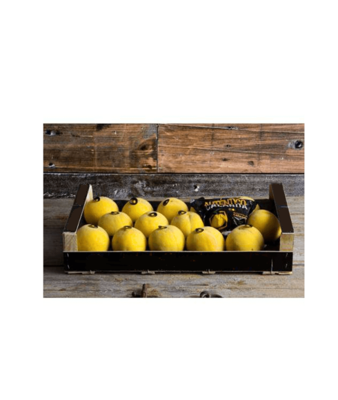 Peach SUB Calanda 18 enheter