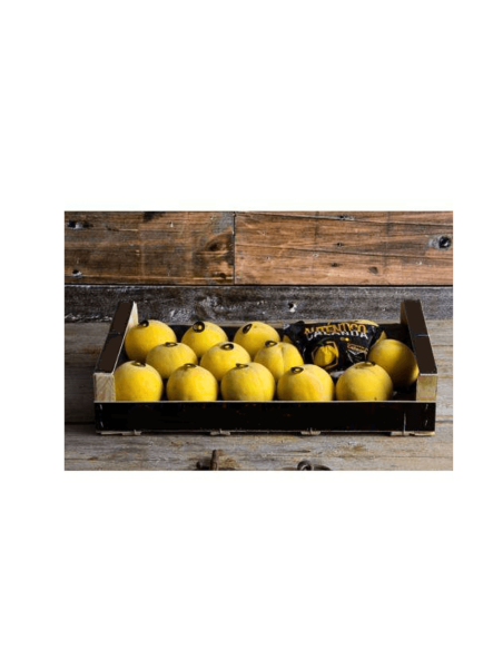 Peach SUB Calanda 18 enheter