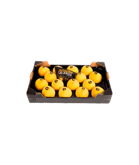 Pêche AOP Calanda 20/22 Unités