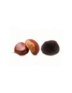 Truffe Melanosporum S - (10gr)