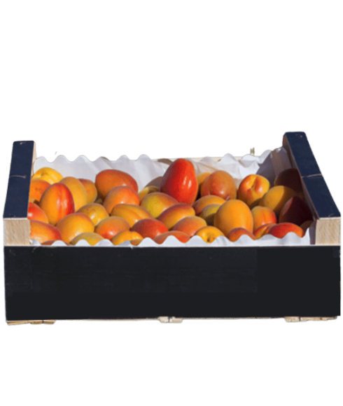 Apricot AA 5kg