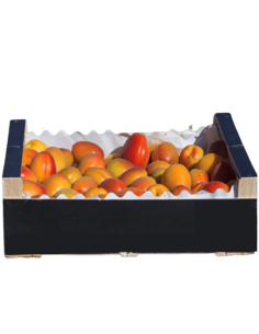 Aprikos AAA 5 kg