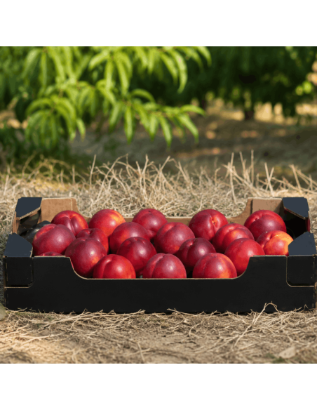 Coffret nectarines 18 pièces