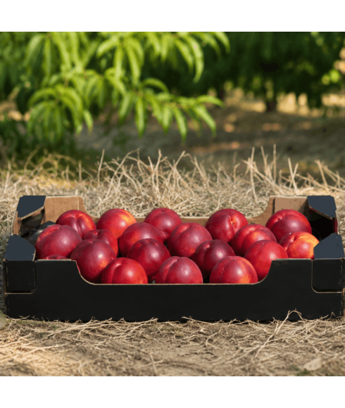 Nectarine-AA doos van 5kg