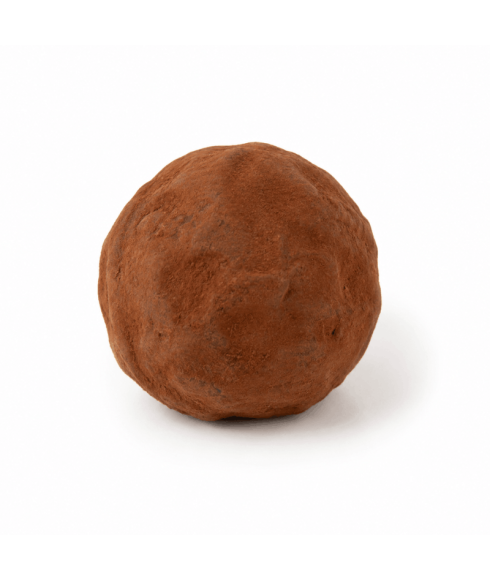 Truffes au chocolat à la truffe noire
