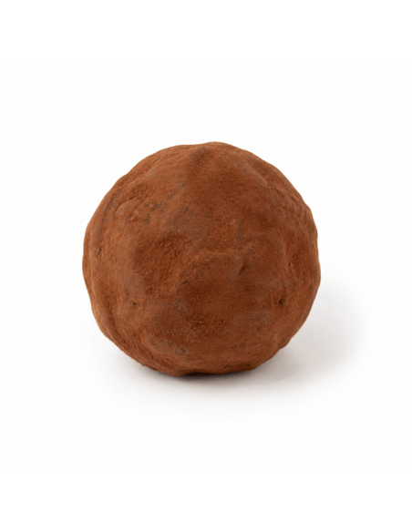 Chocoladetruffels met zwarte truffel