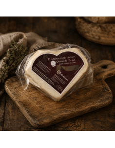 Fromage de chèvre de Teruel