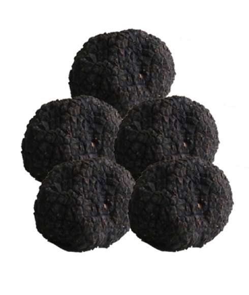 Truffe Uncinatum - Truffe d'automne 200gr