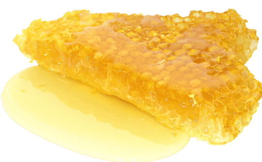 Panal de abejas: ¿cómo utilizar nuestra miel de panal? - Degusta Teruel