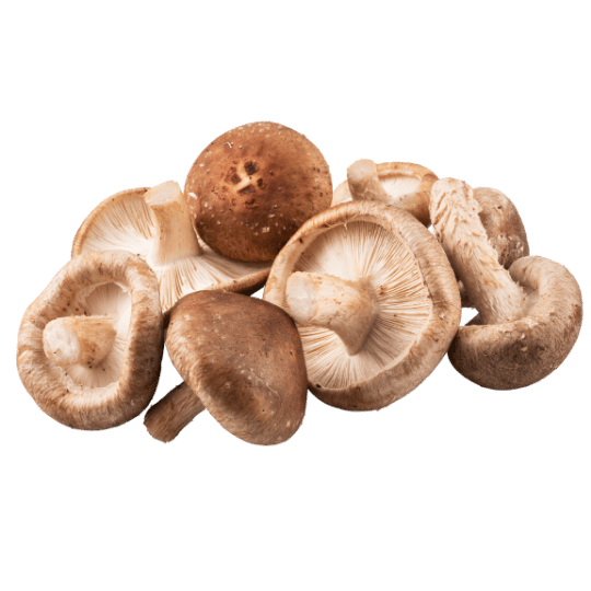 paddenstoelen