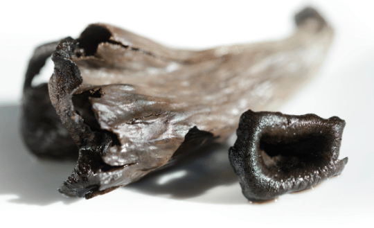 trompettes de la mort