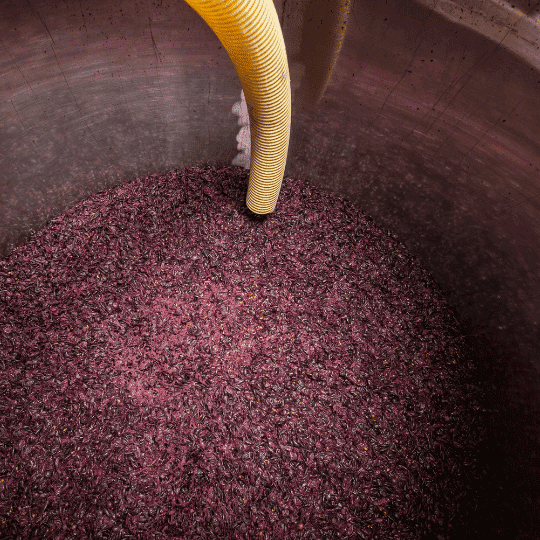 Vin de Merlot