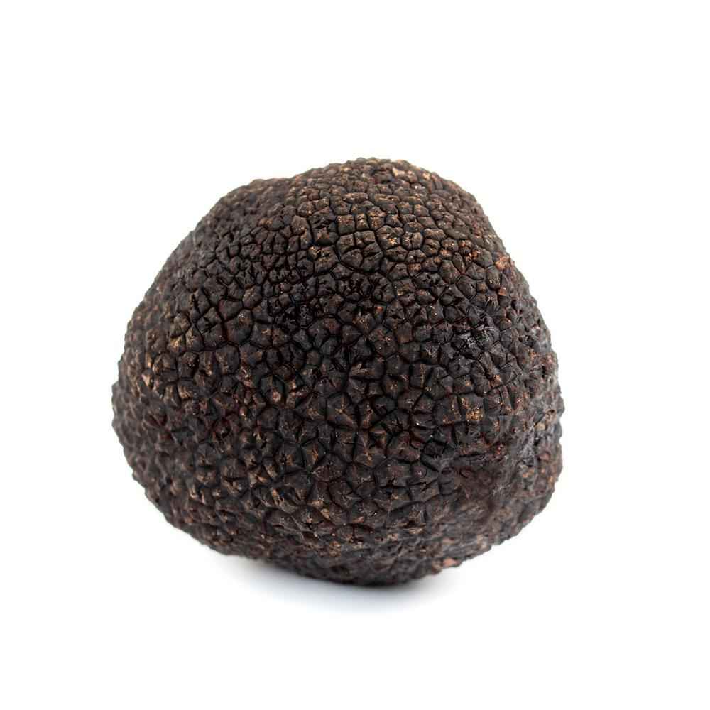 tartufo nero