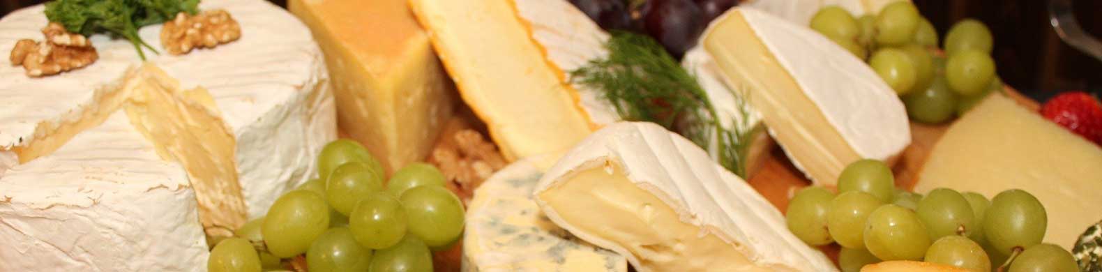 Caracter&iacute;sticas de los quesos