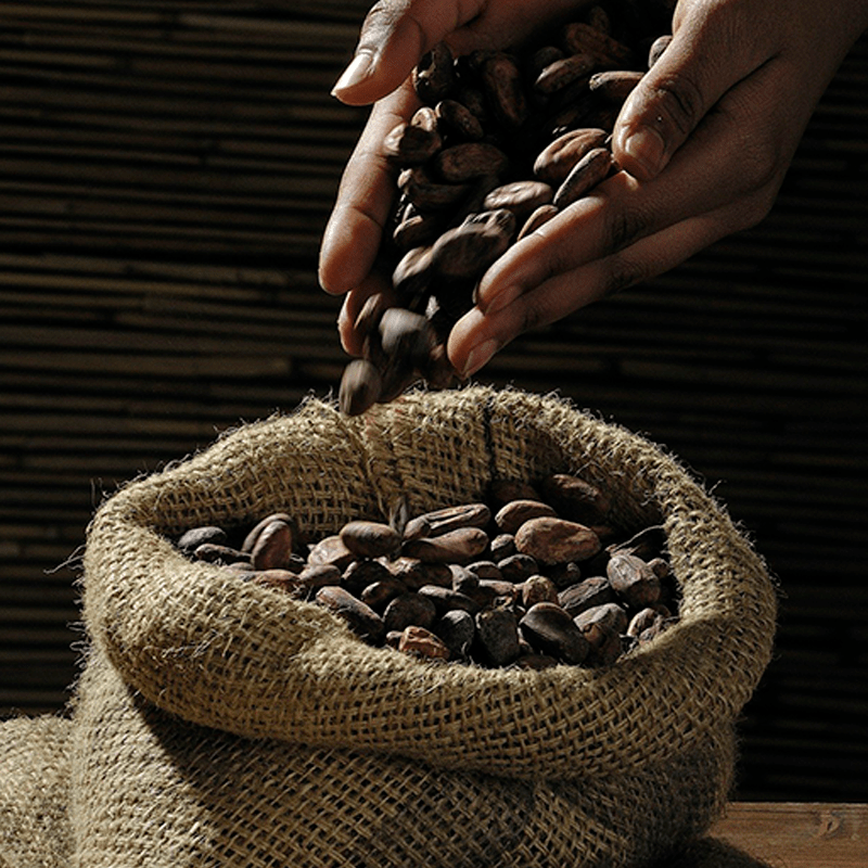 Cacao