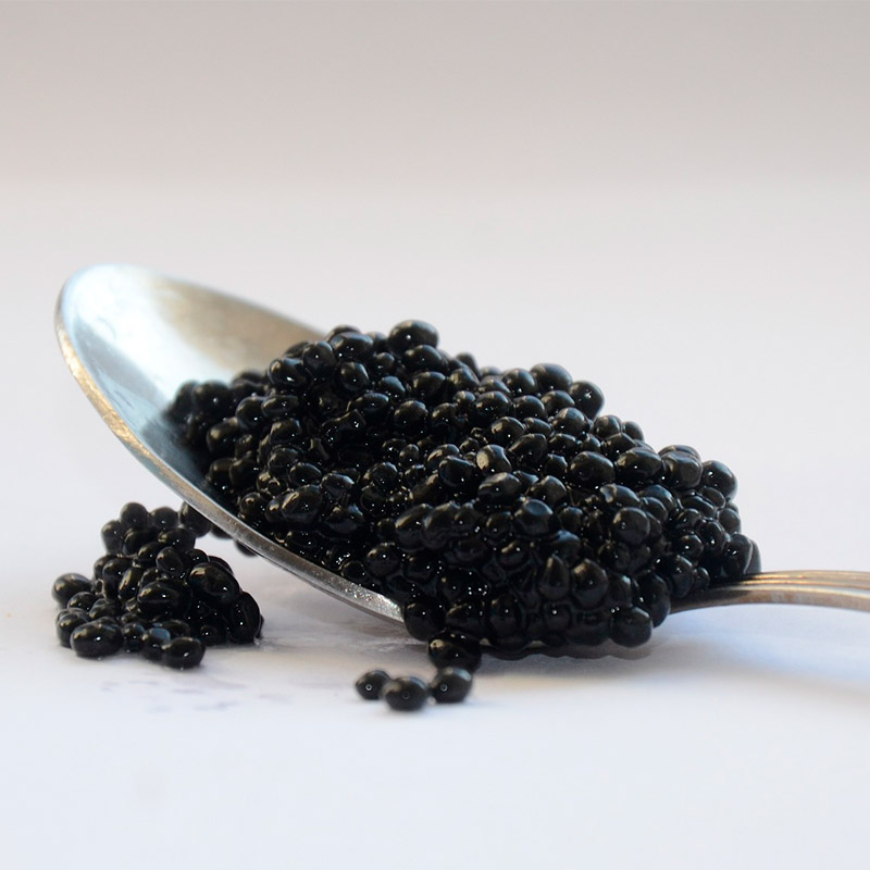 Precio del caviar de esturión